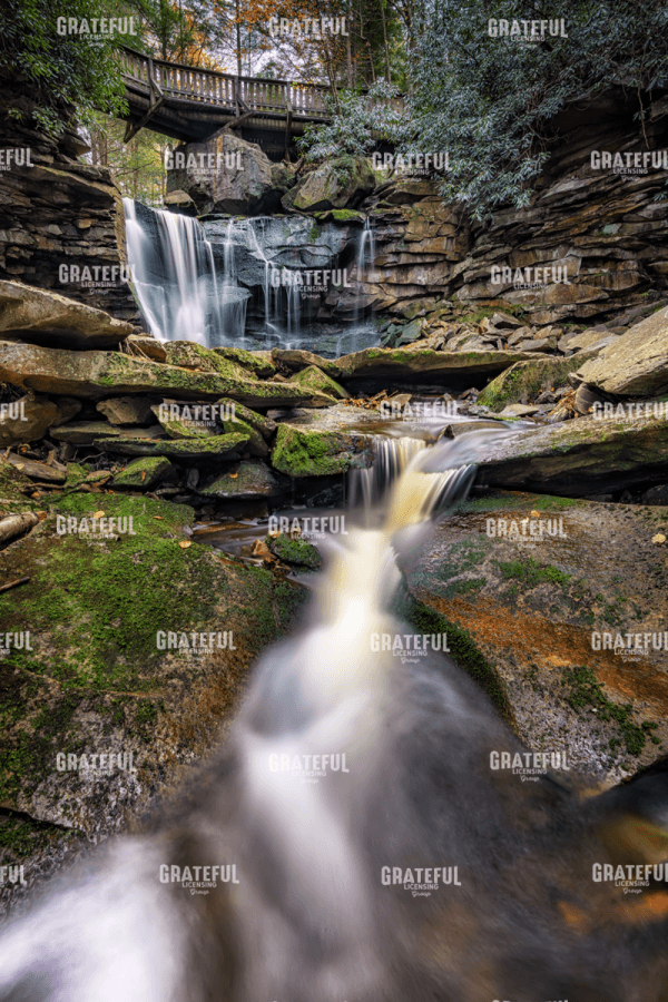 Rick Berk-Shays Run and Elakala Falls.tif