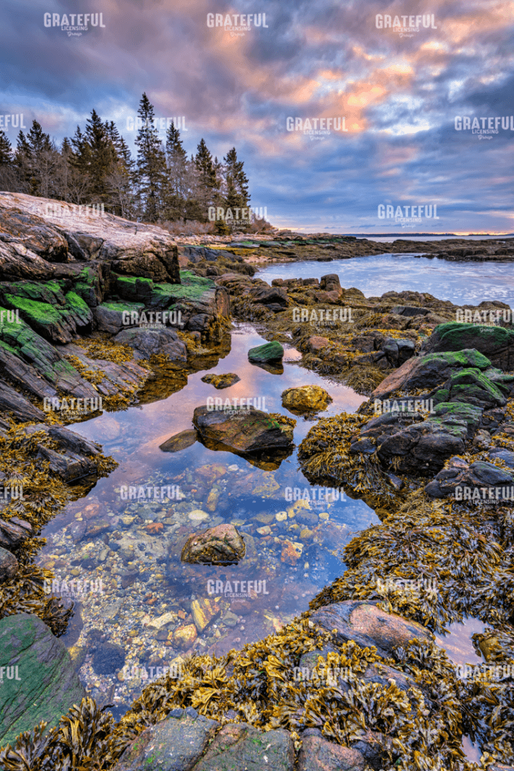 Rick Berk-Tidal Serenity.tif