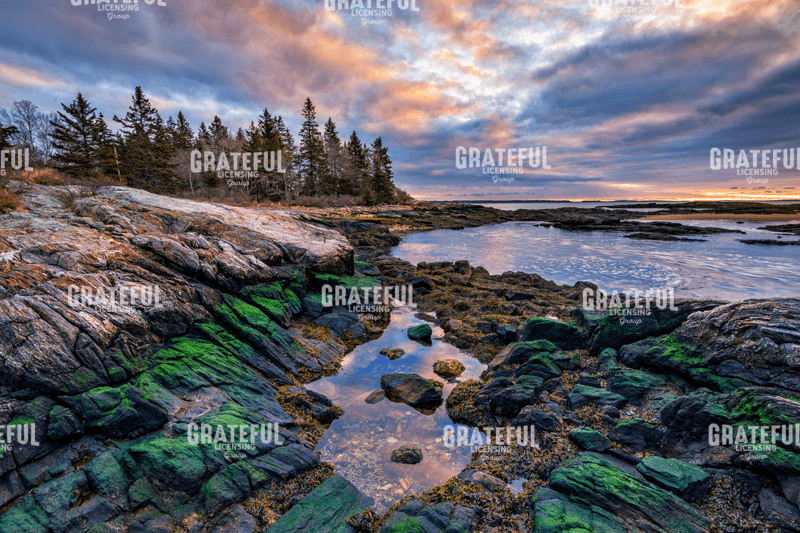 Rick Berk-Tidal Serenity II.tif