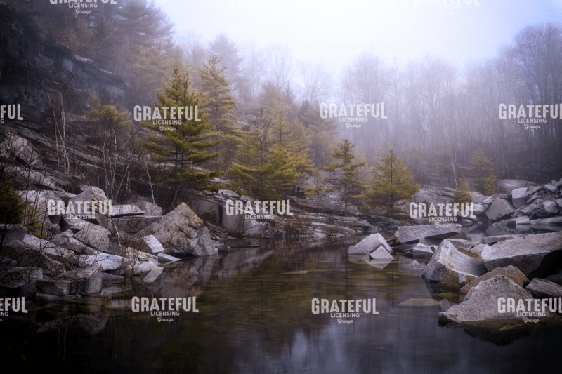 Rick Berk-Misty Morning at Mount Waldo.tif