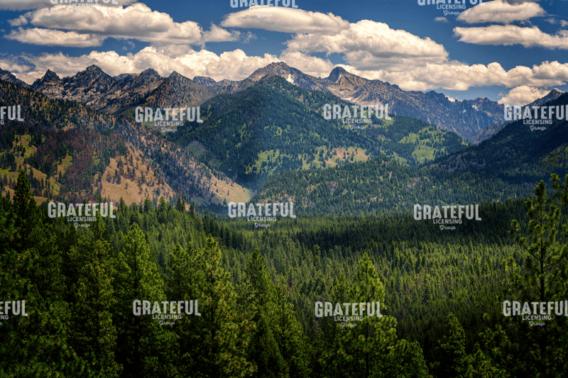 Rick Berk-Grandjean Overlook II.tif