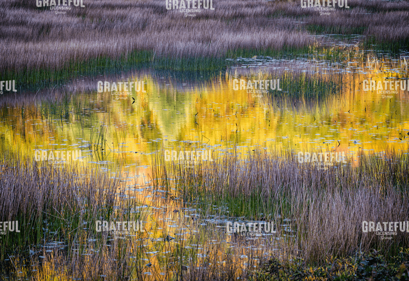 Rick Berk-The Tarn.tif