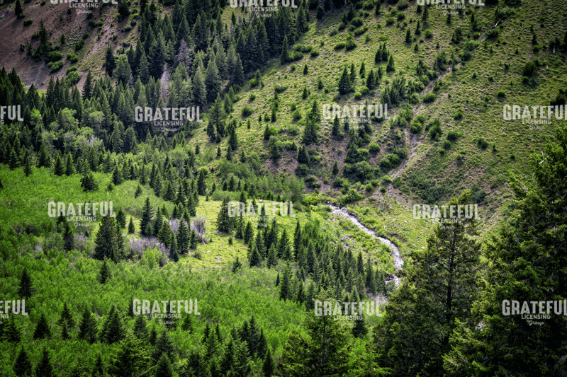 Rick Berk-Sun Valley.tif