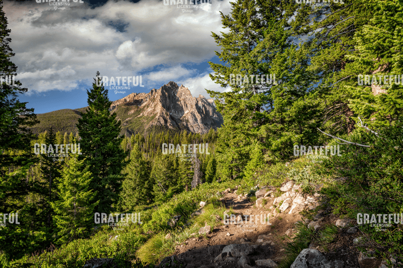 Rick Berk-Grand Mogul.tif