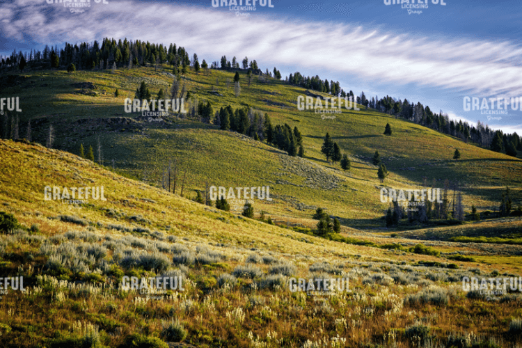 Rick Berk-Sawtooth Foothills II.tif