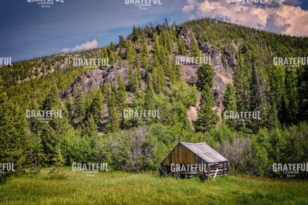 RIck Berk-Abandined Cabin Custer ID.tif