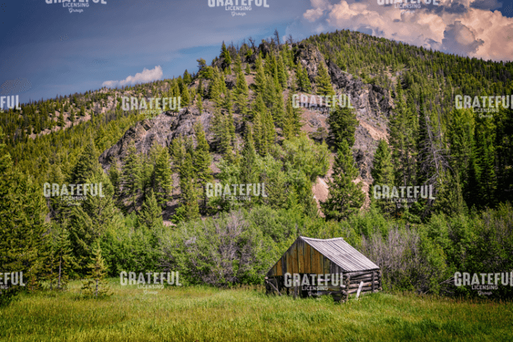 RIck Berk-Abandined Cabin Custer ID.tif