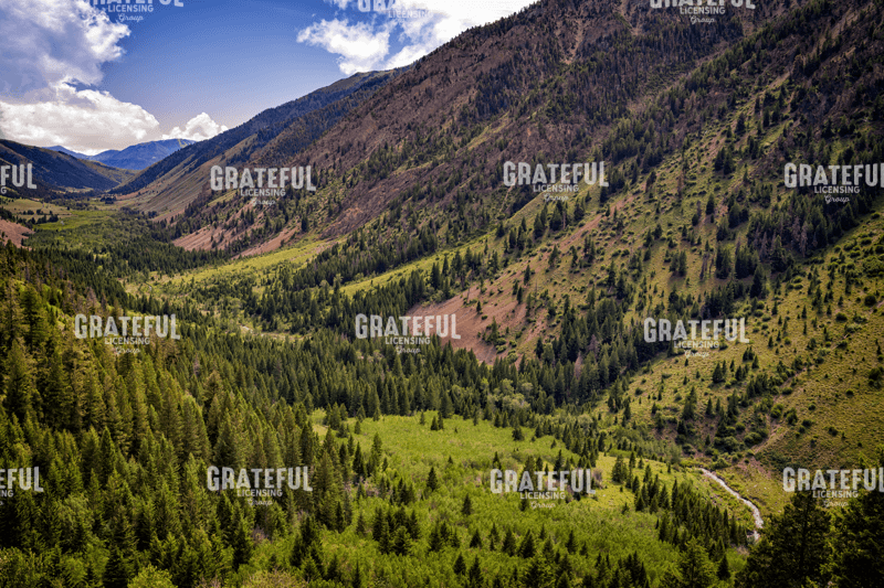 Rick Berk-Sun Valley II.tif