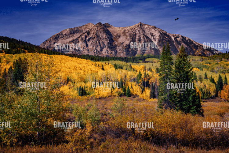 Rick Berk-East Beckwith Mountain.tif