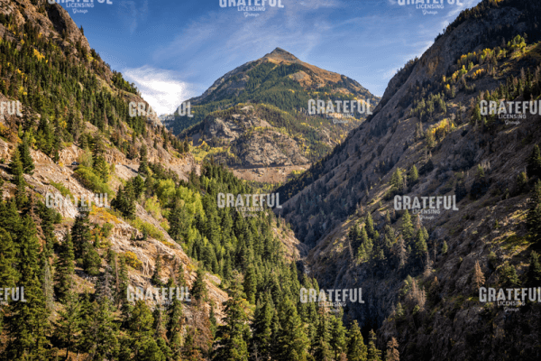 Rick Berk-Abrams Mountain.tif
