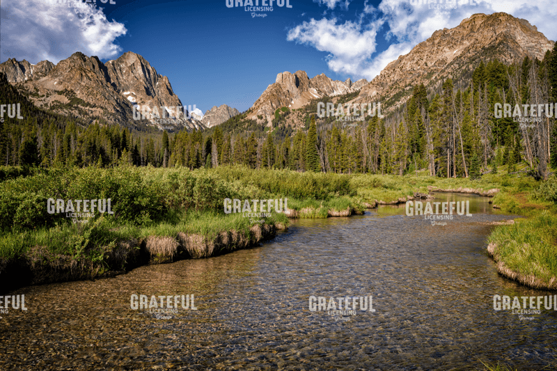 Rick Berk-Fishhook Creek.tif