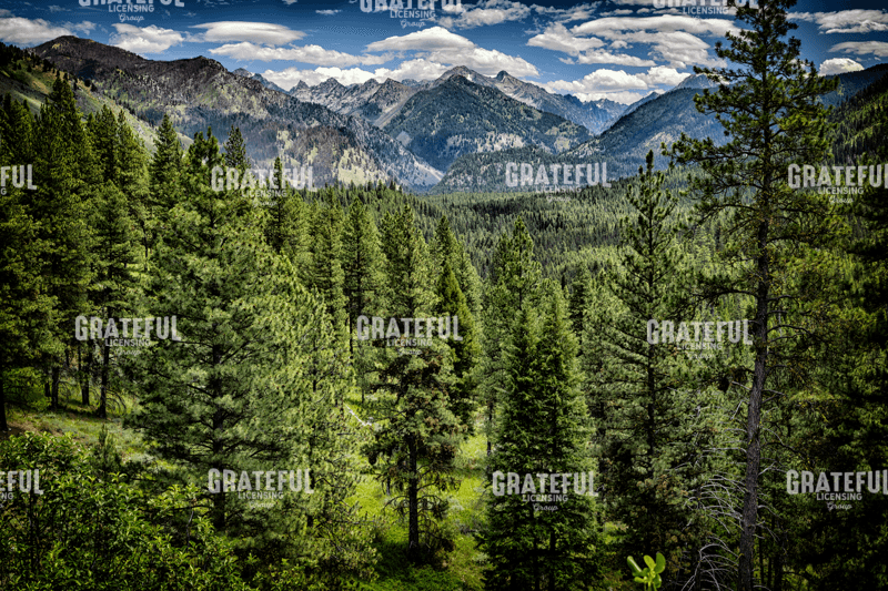 Rick Berk-Grandjean Overlook.tif