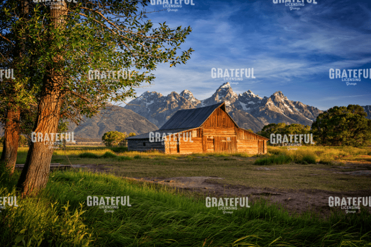 Rick Berk-Morning at Moulton Barn.tif
