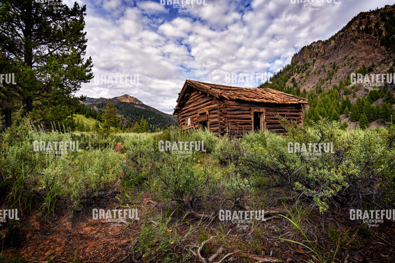 Rick Berk-The Old Miners Cabin.tif