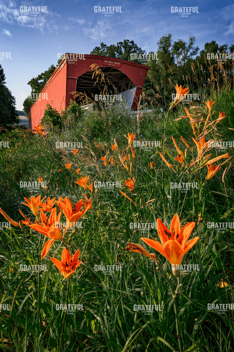 Rick Berk-Holliwell Bridge.tif