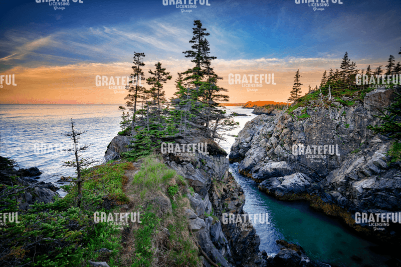 Rick Berk-Boot Head.tif