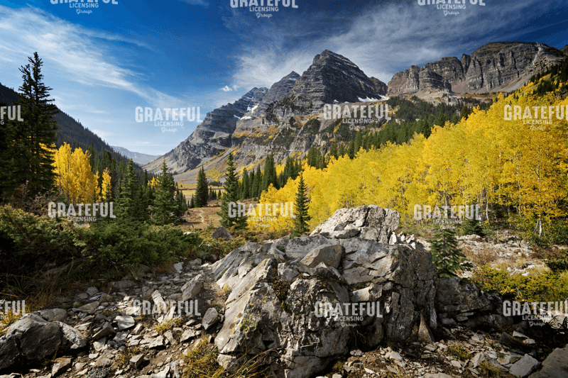 Rick Berk-Rocky Mountain Gold.tif