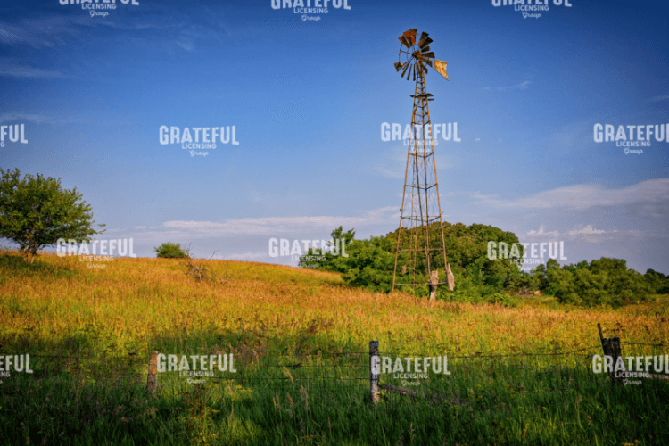 Rick Berk-The Old Windmill.tif