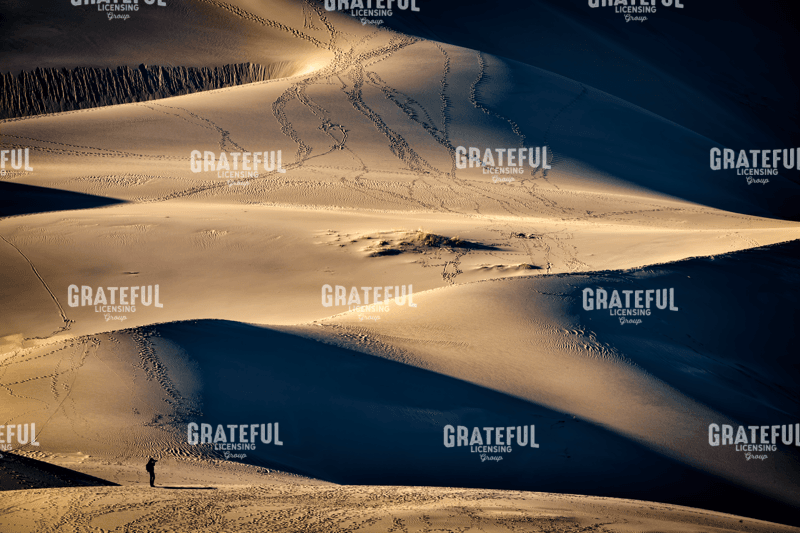 Rick Berk-Photographing the Dunes.tif