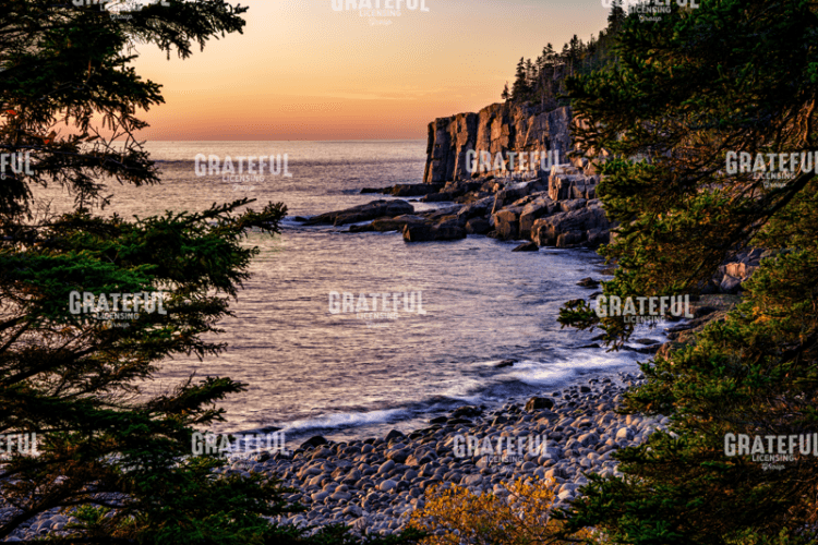 Rick Berk-Otter Cliff Through The Trees.tif