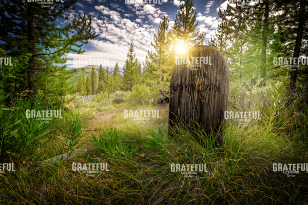 Rick Berk-Bonanza Cemetery.tif