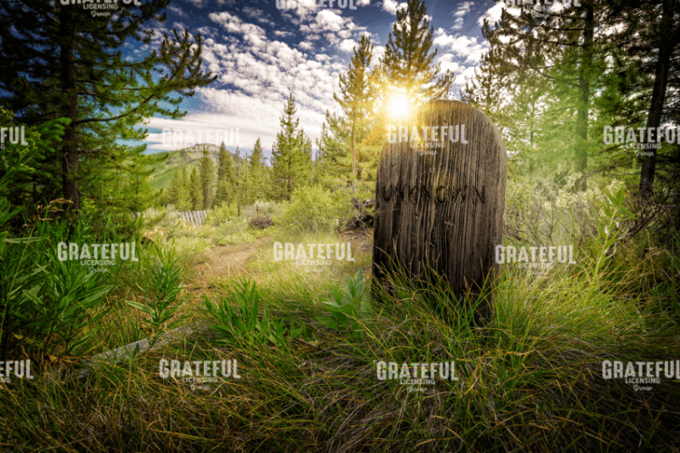 Rick Berk-Bonanza Cemetery.tif