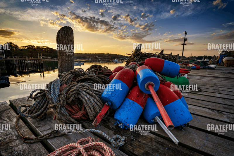 Rick Berk- Buoys on the Wharf.tif