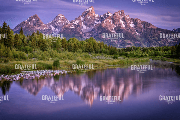 Reflecting Tetons