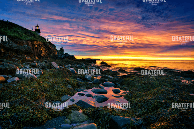 Rick Berk-Sunrise at West Quoddy Head.tif