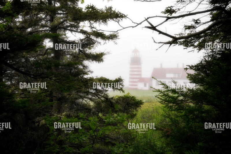 Rick Berk-Beacon in the Mist.tif