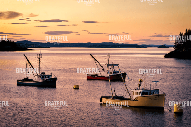 Rick Berk-Twilight in the Harbor.tif