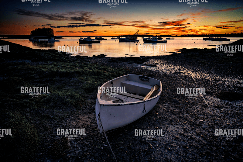 Rick Berk-The Muddy Dinghy.tif