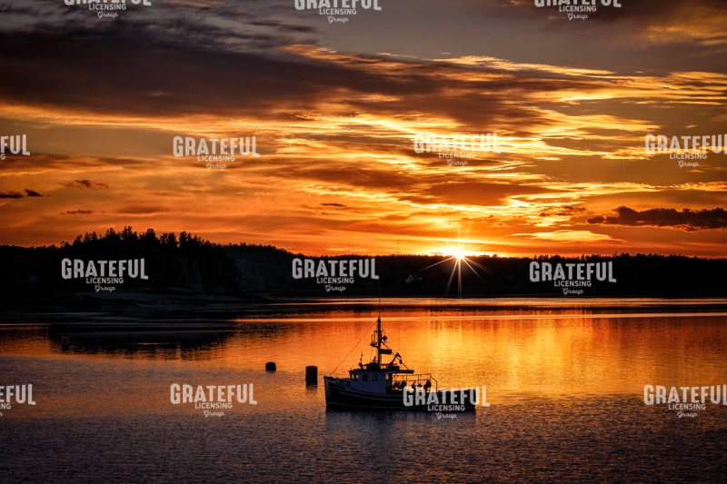 Rick Berk-Sailors Delight.tif