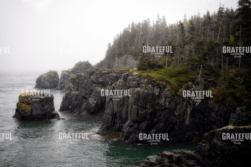 Rick Berk-The Bold Coast.tif