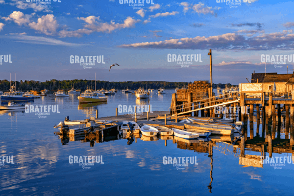 Rick Berk-Summer Morning in Friendship Harbor.tif