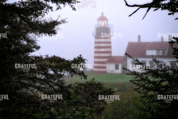 Rick Berk-Socked In By Fog.tif