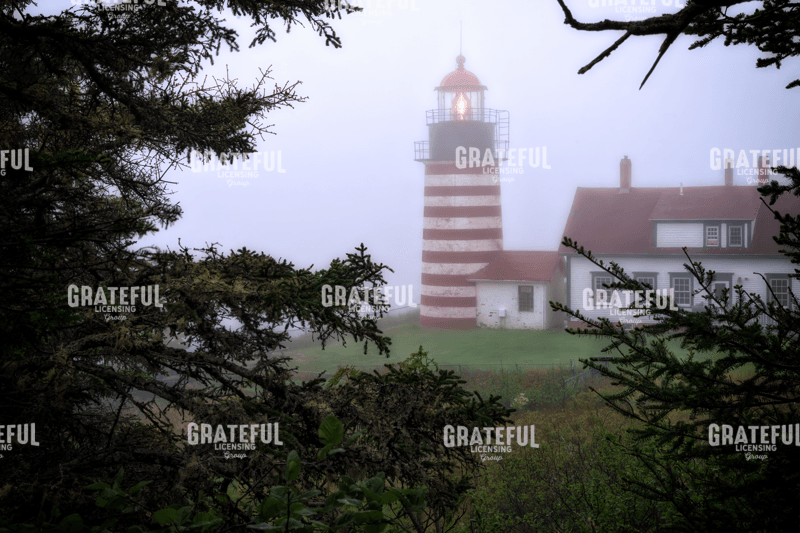 Rick Berk-Socked In By Fog.tif