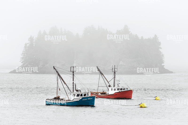 Rick Berk-Harbor in the Mist.tif