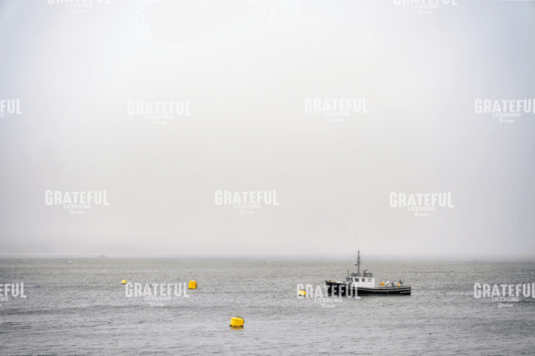 Rick Berk-Alone in the Mist.tif