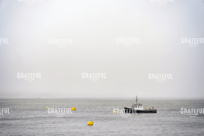 Rick Berk-Alone in the Mist.tif