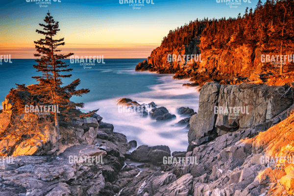 Rick Berk-Winter Dawn at Quoddy Head.tif