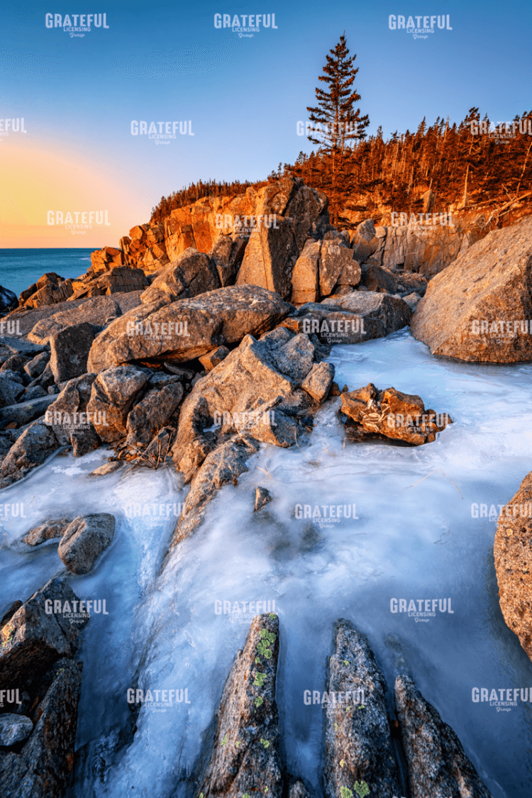 Rick Berk-Frozen Morning at Quoddy Head.tif
