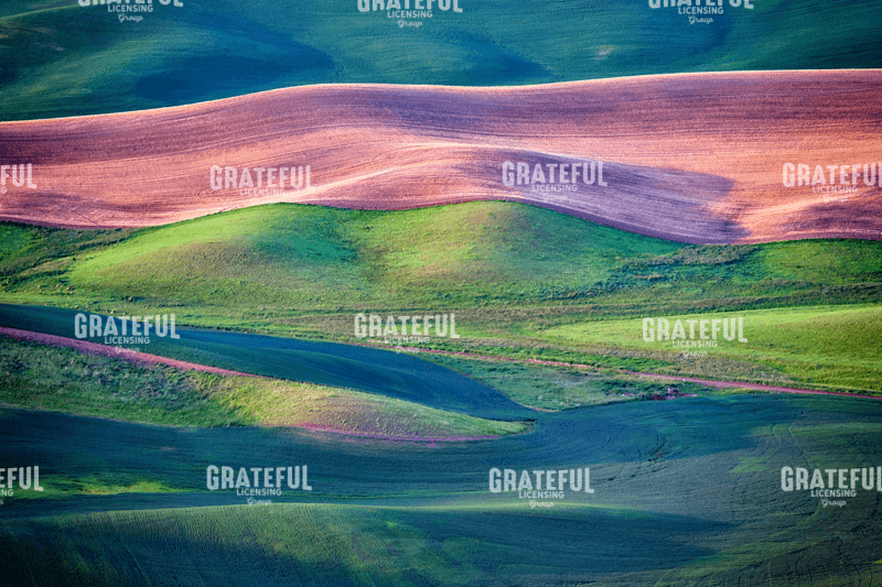 Rick Berk-Palouse Undulation.tif