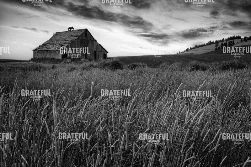 Rick Berk-Forgotten in the Fields.tif