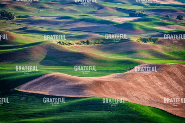 Rick Berk-Undulation.tif