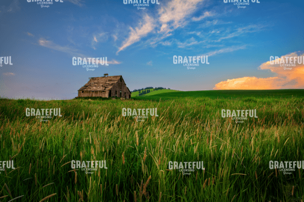 Rick Berk- The Barn at Ladow Butte.tif