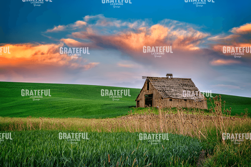 Rick Berk-Sunset at the Old Barn.tif