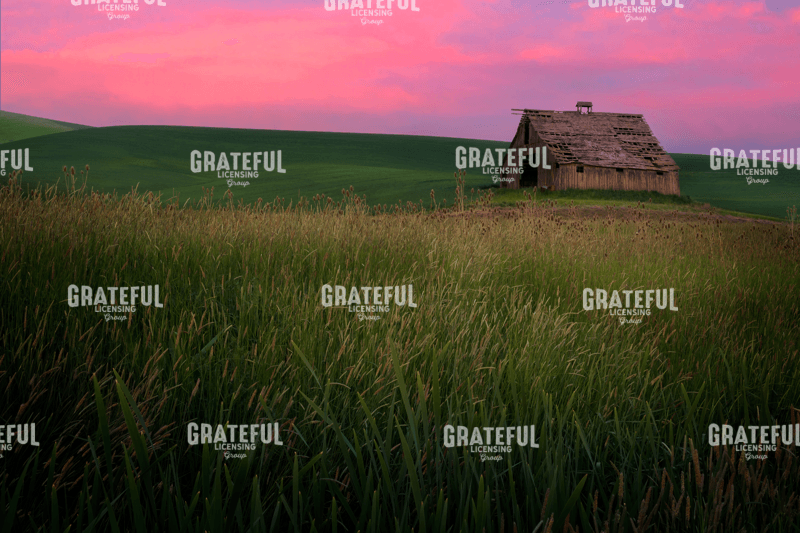 Rick Berk-Twilight of Time.tif