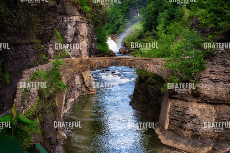 Rick Berk-Stone Bridge over the Genesee.tif