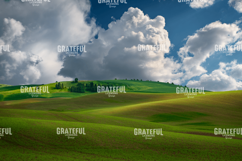 RIck Berk-Afternoon Bliss in the Palouse.tif